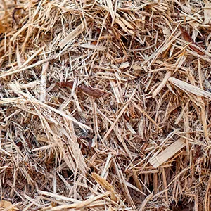 Щепа для арболита оптом в Майкопе и других различных марок заказать от 16 тонн